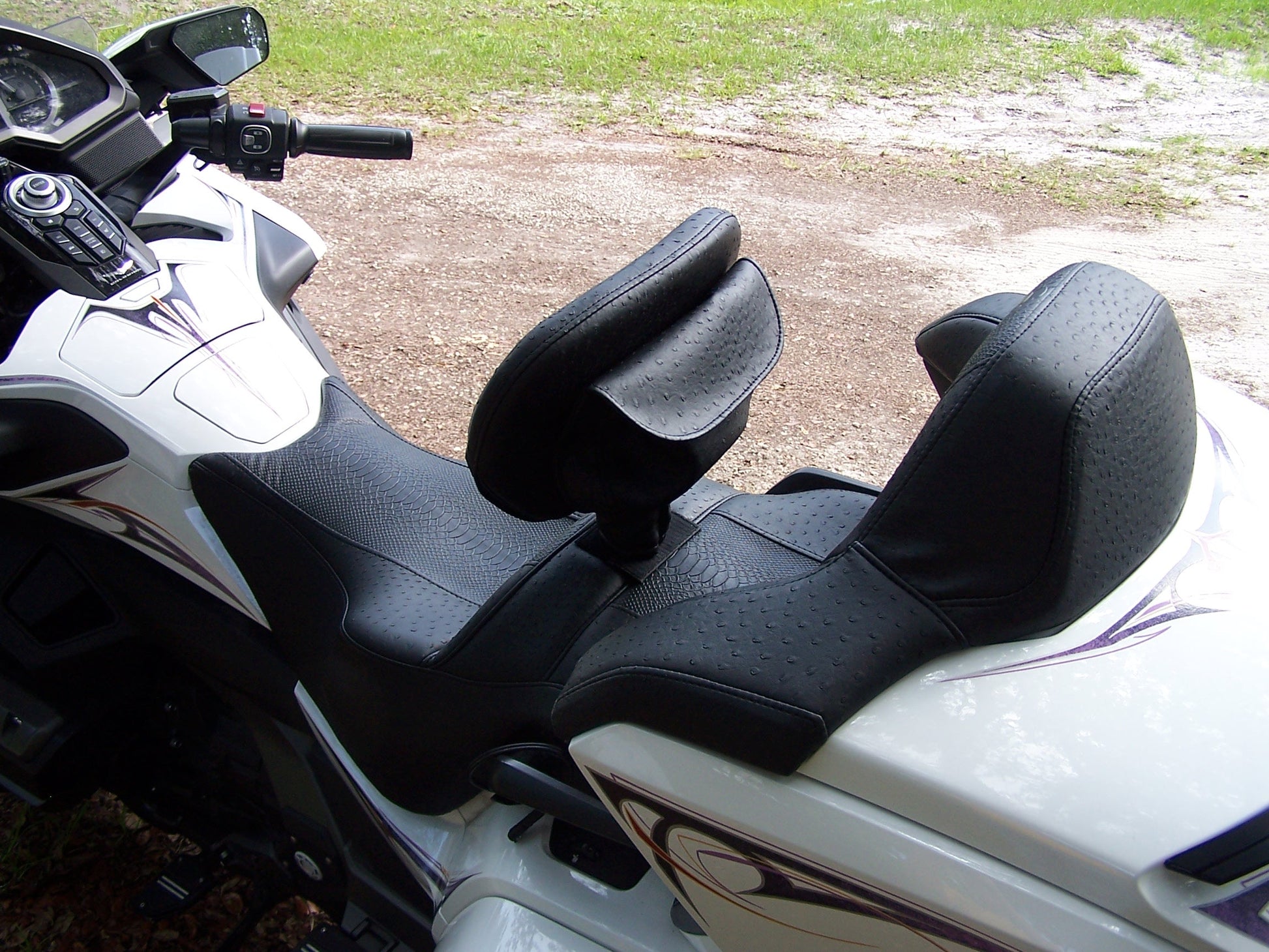 Rear view of the most comfortable Goldwing Seat in snake and ostrich